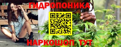 стафф Татарск