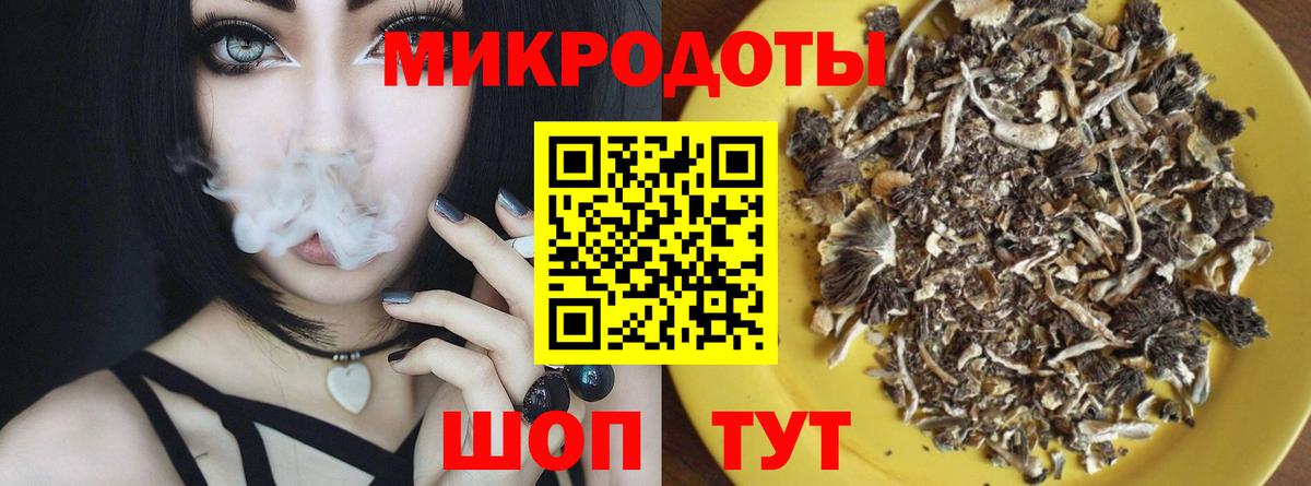 Галлюциногенные грибы Psilocybine cubensis  Вход с VPN  Можайск 